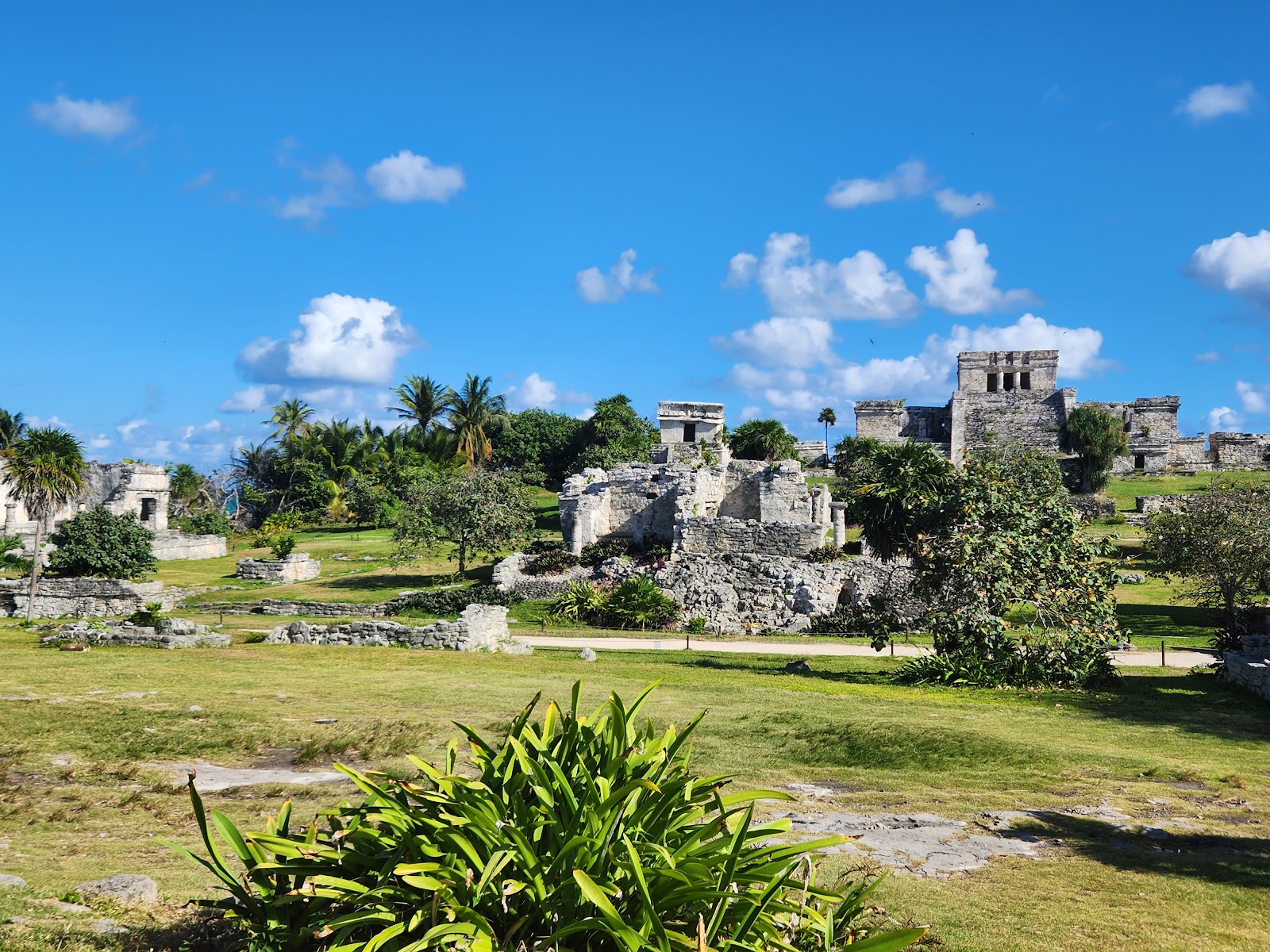 View of Tulum National Park: Maya temples and palms on the Caribbean coast